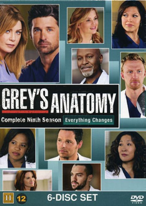 Huvudbild Grey's Anatomy - Säsong 9 (dvd) beg