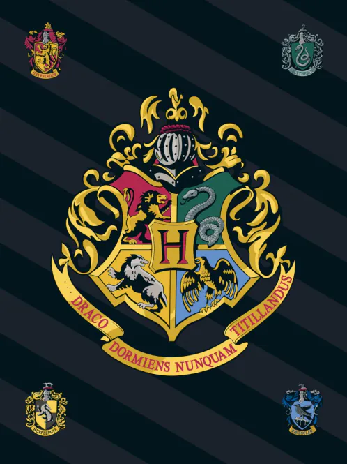 Huvudbild Harry Potter filt - Gryffindor