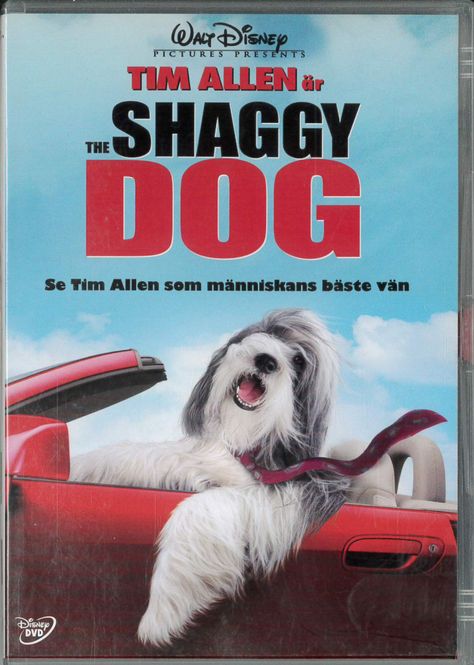 Huvudbild Shaggy Dog  (dvd) beg