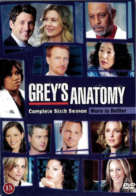 Huvudbild Grey's Anatomy - Säsong 6 (DVD)